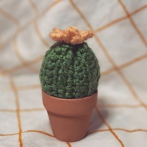 Hand Made Cactus